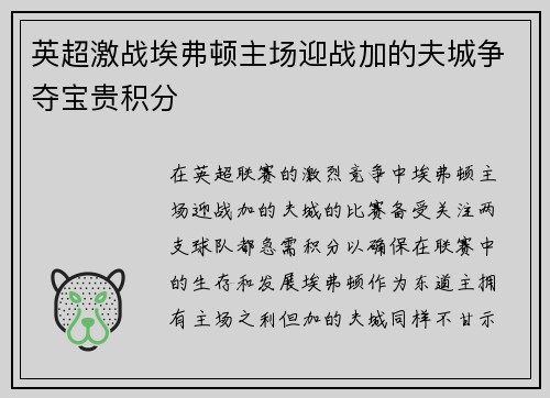 英超激战埃弗顿主场迎战加的夫城争夺宝贵积分